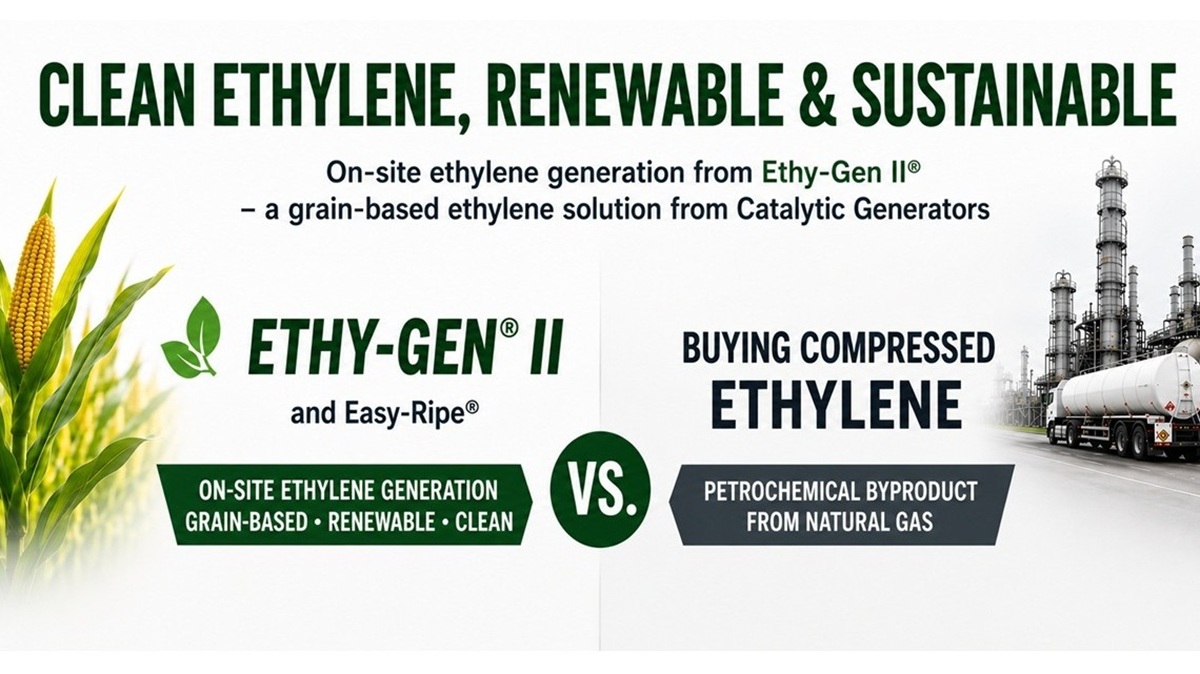 CATALYTIC INGLES.jpg